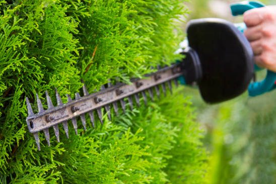 Strimmers, Brushcutters and hedgetrimmers serviced at £70 plus parts